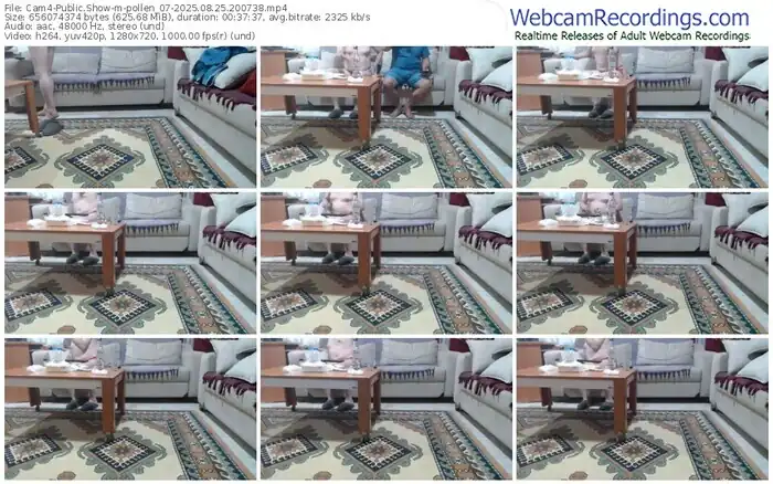 cam4-pollen_07-08-25-2025-20-07-38