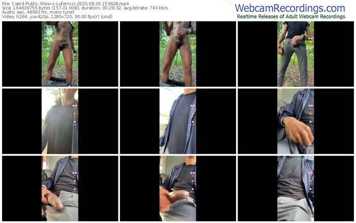 cam4-lufenicci-08-26-2025-15-36-28