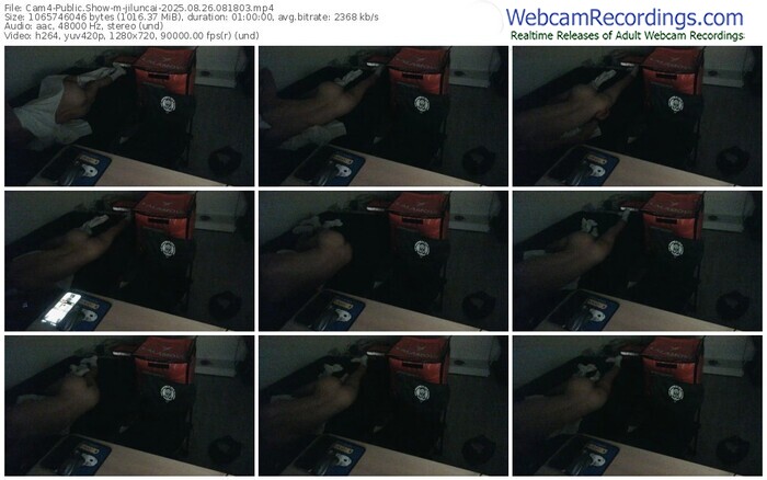 cam4-jiluncai-08-26-2025-08-18-03