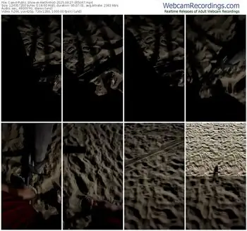 cam4-nethinho0-08-27-2025-00-50-47