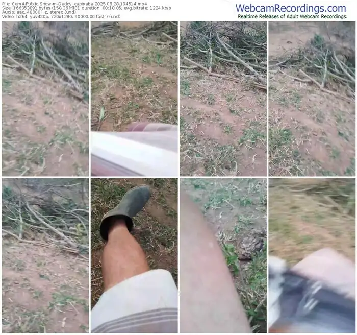 cam4-daddy_capixaba-08-28-2025-19-45-14