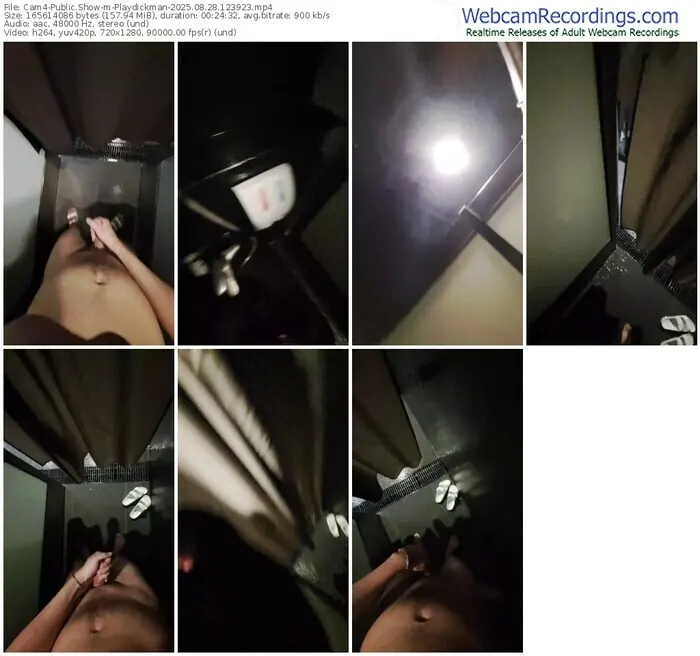 cam4-playdickman-08-28-2025-12-39-23