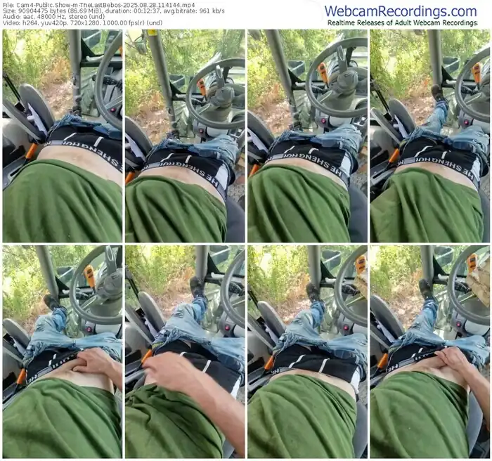 cam4-thelastbebos-08-28-2025-11-41-44