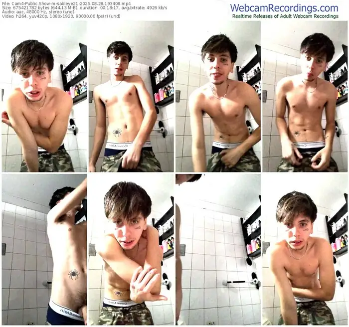 cam4-sableye21-08-28-2025-19-34-08