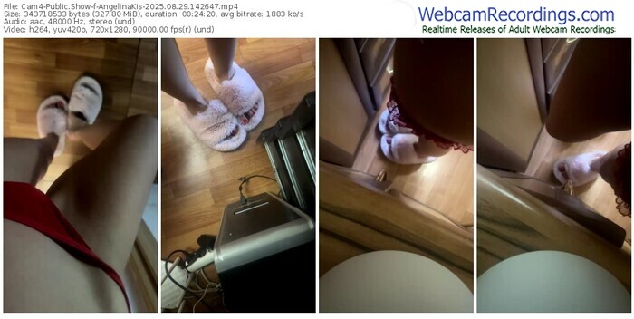 cam4-angelinakis-08-29-2025-14-26-47