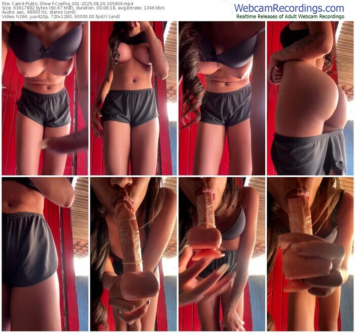 cam4-coelha_001-08-29-2025-16-56-09