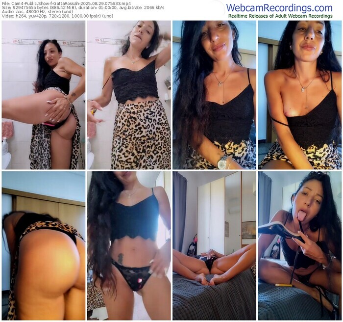 cam4-gattarossah-08-29-2025-07-56-33