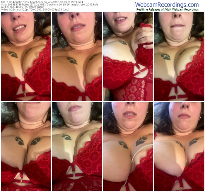cam4-cochonnedu_xxx-08-29-2025-01-15-33