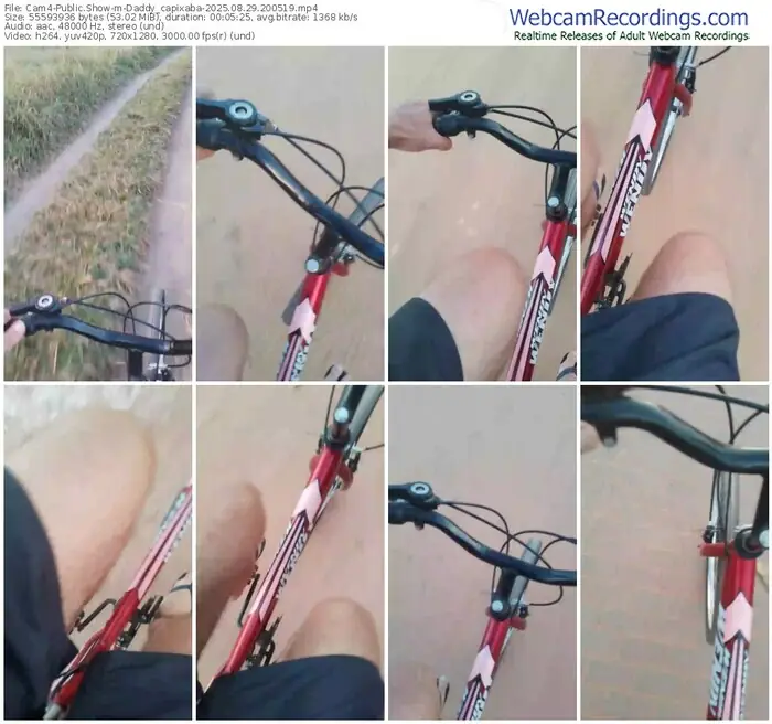 cam4-daddy_capixaba-08-29-2025-20-05-19