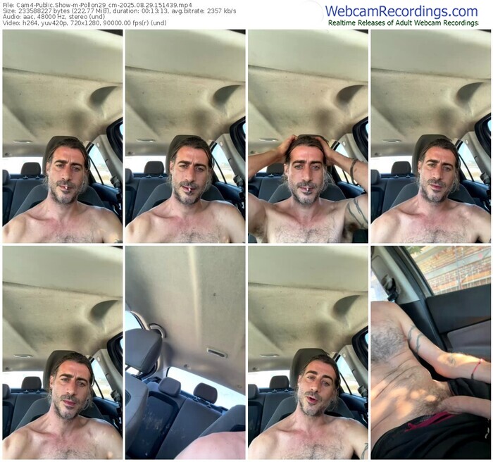 cam4-pollon29_cm-08-29-2025-15-14-39