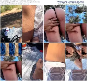 cam4-chicoytrans20-08-30-2025-13-40-21