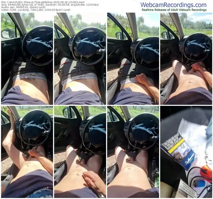 cam4-thelastbebos-08-30-2025-13-18-15