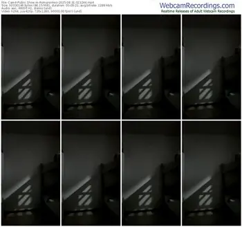 cam4-romaninhoo-08-31-2025-02-32-46