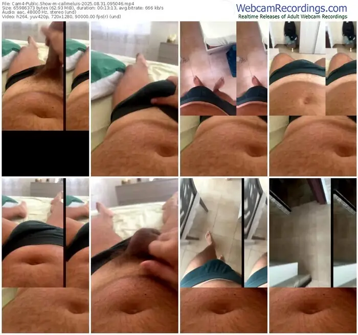 cam4-callmeluis-08-31-2025-09-50-46