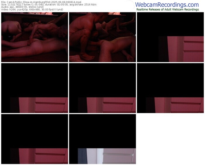 cam4-hamburgffist-09-08-2025-06-08-14