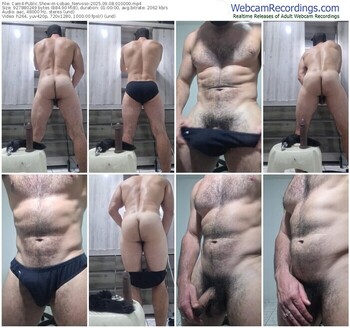 cam4-lobao_nervoso-09-08-2025-01-00-00