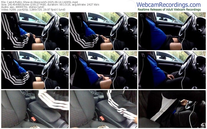 cam4-likescock5-09-14-2025-14-26-51