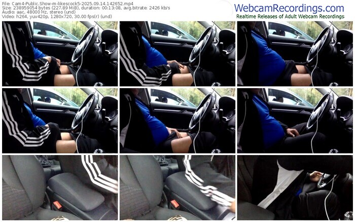 cam4-likescock5-09-14-2025-14-26-52