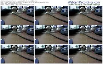 cam4-rayo220-09-14-2025-18-43-02