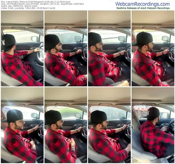 cam4-ticklishtiger43-09-17-2025-21-39-32
