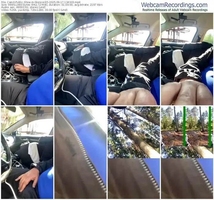 cam4-likescock5-09-17-2025-13-43-03