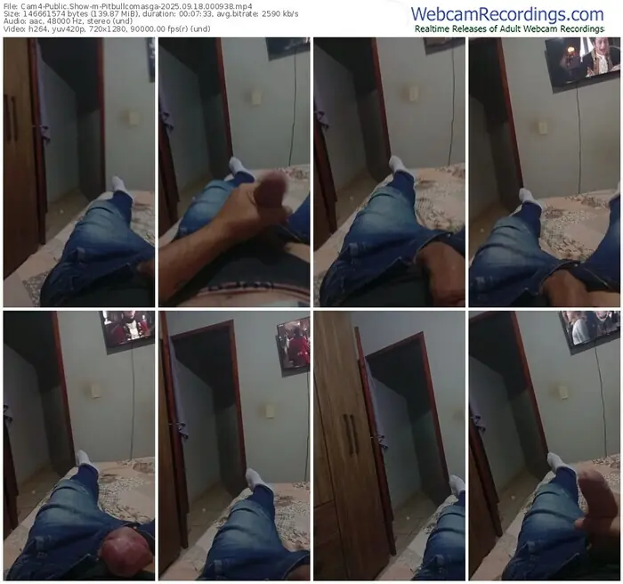 cam4-pitbullcomasga-09-18-2025-00-09-38