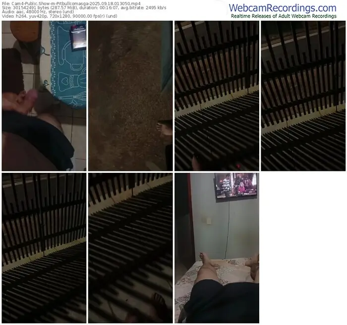 cam4-pitbullcomasga-09-18-2025-01-30-50