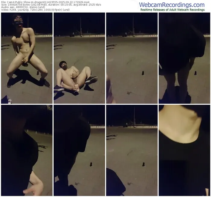 cam4-dragon011423555-09-22-2025-17-29-29