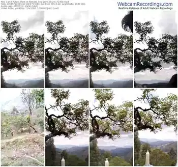 cam4-remote_live-09-24-2025-17-23-30