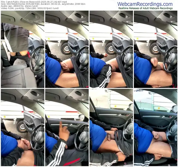 cam4-likescock5-09-27-2025-16-14-07