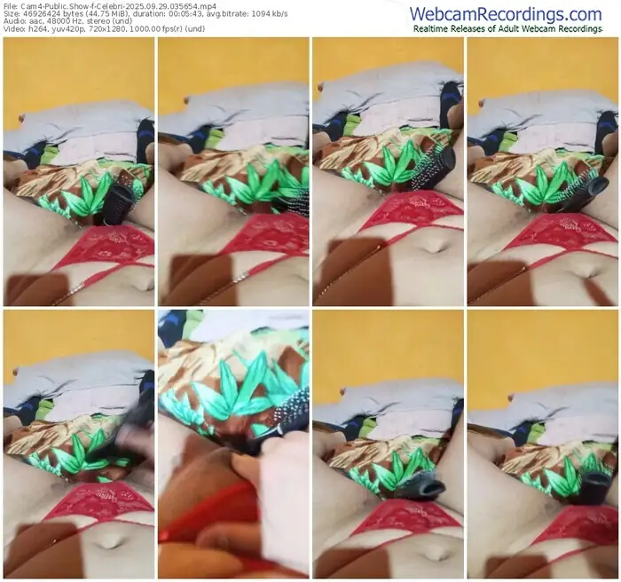 cam4-celebri-09-29-2025-03-56-54