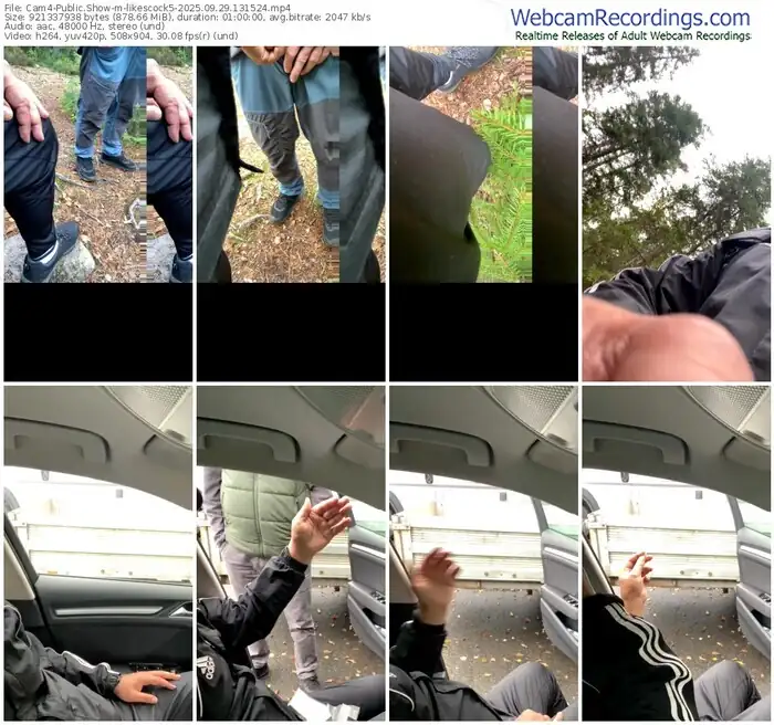 cam4-likescock5-09-29-2025-13-15-24