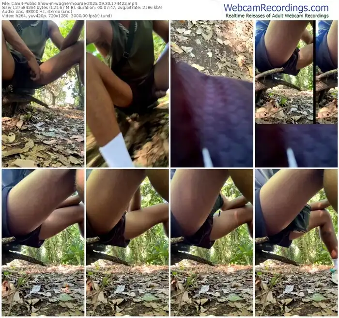 cam4-wagnermourae-09-30-2025-17-44-22