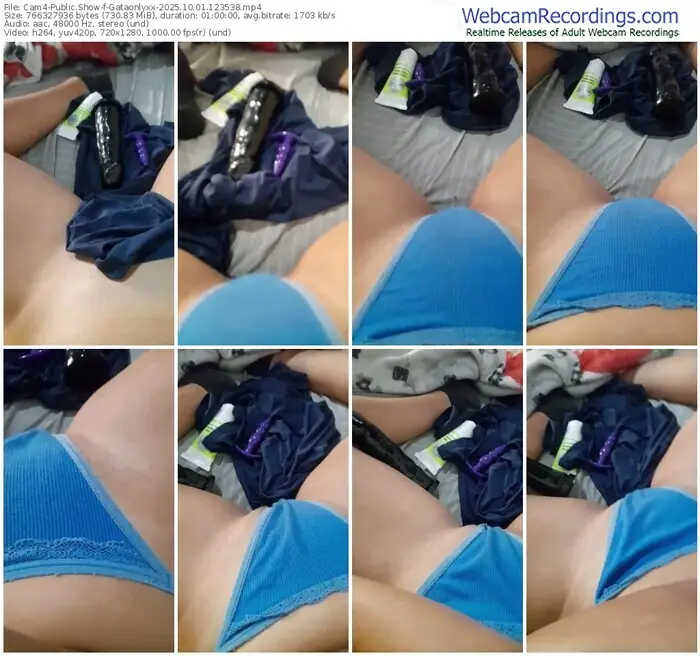 cam4-gataonlyxx-10-01-2025-12-35-38