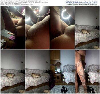 cam4-danyblack1985-10-02-2025-17-09-58