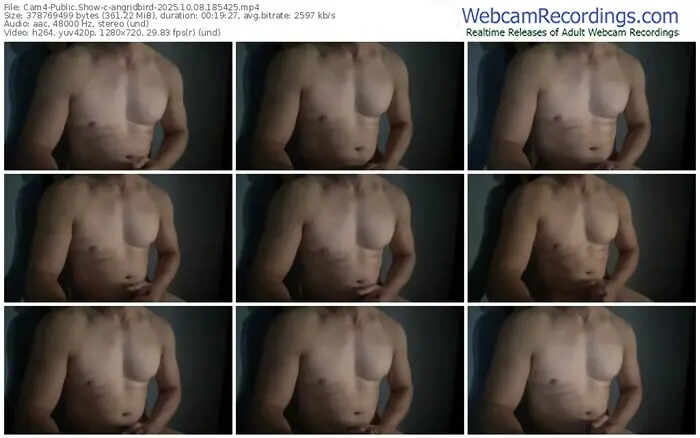 cam4-angridbird-10-08-2025-18-54-25