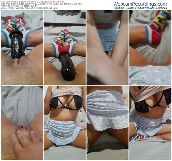 cam4-gataonlyxx-10-08-2025-14-34-56