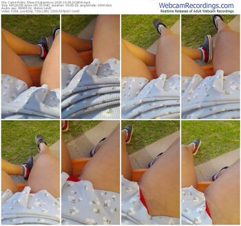 cam4-gataonlyxx-10-08-2025-20-28-59