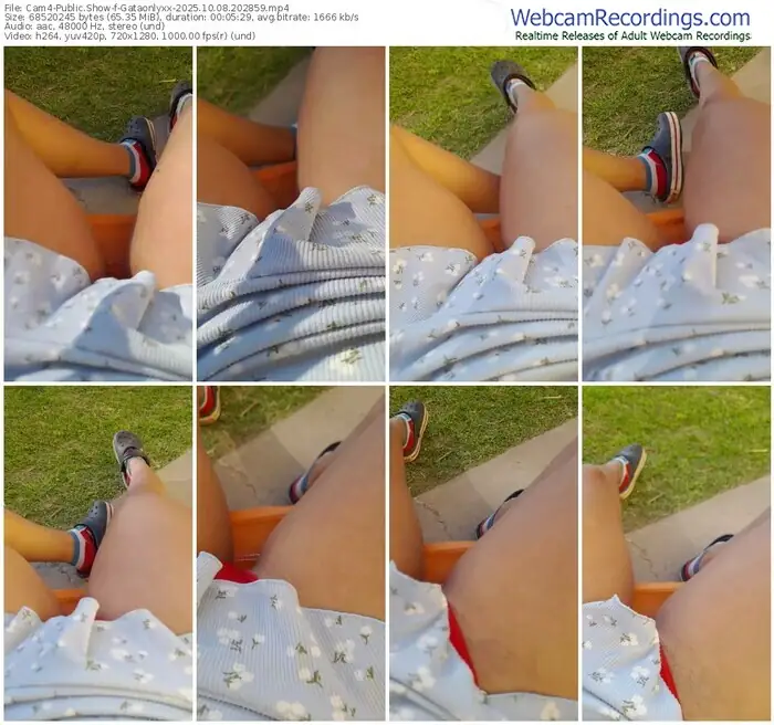 cam4-gataonlyxx-10-08-2025-20-28-59