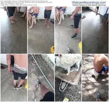 cam4-777monsterdaddy-10-08-2025-15-50-12