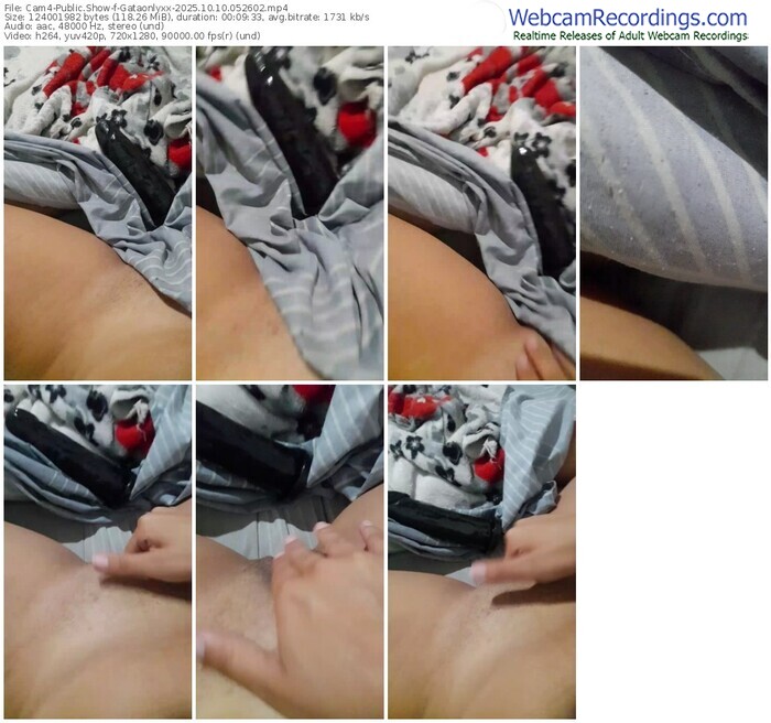 cam4-gataonlyxx-10-10-2025-05-26-02