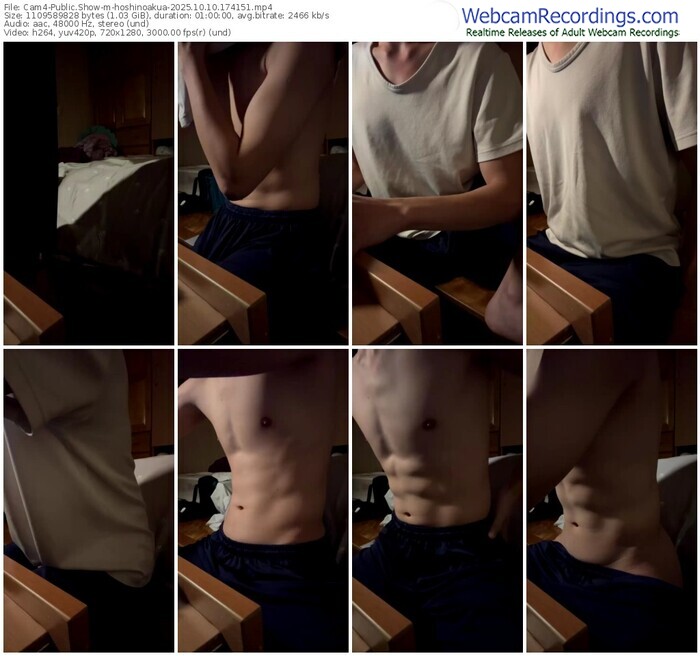 cam4-hoshinoakua-10-10-2025-17-41-51