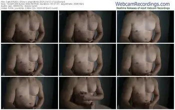 cam4-angridbird-10-11-2025-17-21-29