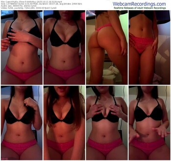 cam4-444kittyy-10-11-2025-01-31-39