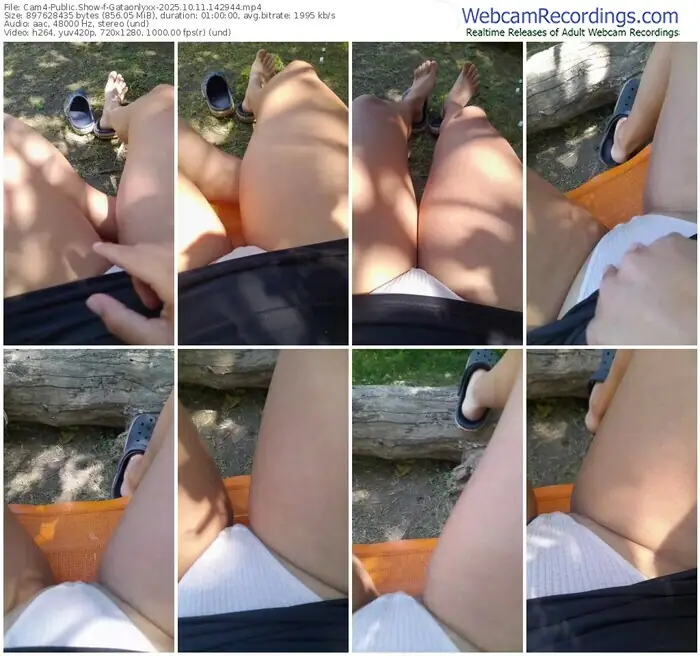 cam4-gataonlyxx-10-11-2025-14-29-44