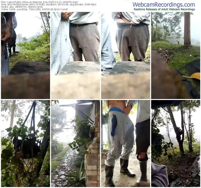cam4-remote_live-10-11-2025-16-00-53