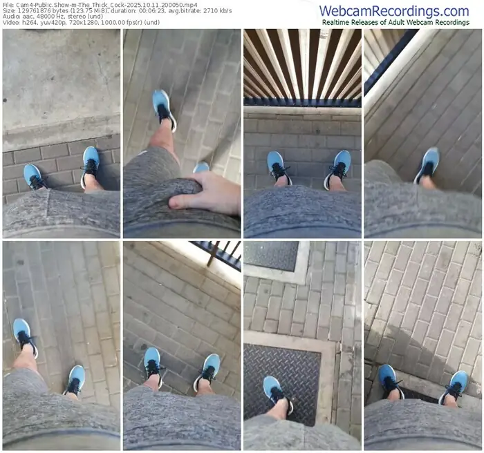 cam4-the_thick_cock-10-11-2025-20-00-50