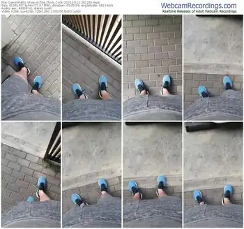 cam4-the_thick_cock-10-11-2025-20-12-30