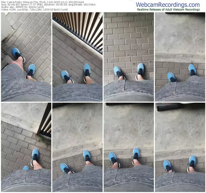 cam4-the_thick_cock-10-11-2025-20-12-30