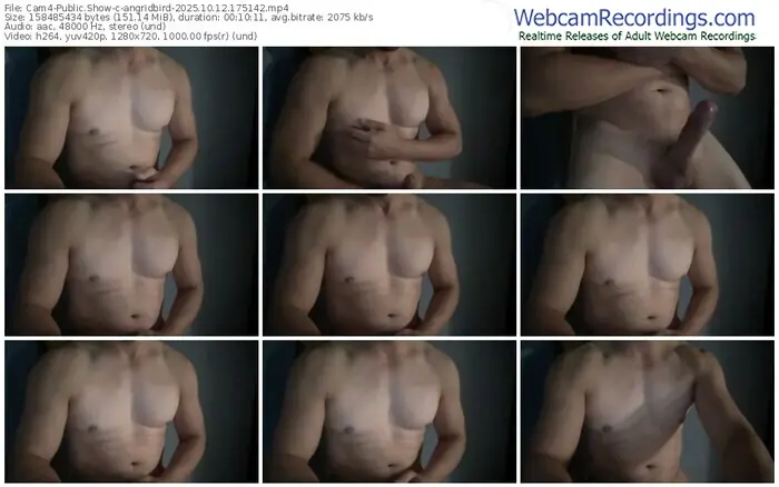 cam4-angridbird-10-12-2025-17-51-42